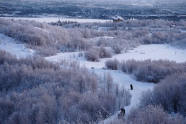 Kış ötesinde Kuzey Kutup dairesi