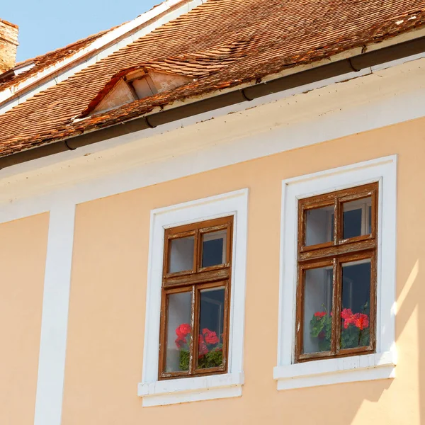 Geranium behind wooden windows in a house with a tiled roof — Stock Photo, Image
