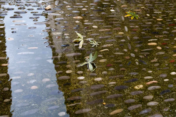 Puddles on the sidewalk of pebbles — Stock Photo, Image