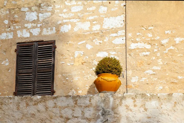 Vaso di fiori e finestra con persiane in legno sullo sfondo della vecchia parete gialla — Foto Stock