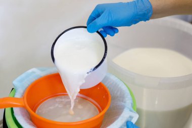 evde peynir üretme süreci. sütü filtreleme işlemi