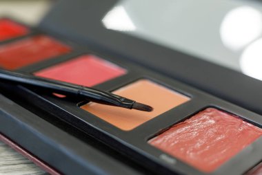 Dudak parlatıcılı palet, güzellik salonunda masada fırça