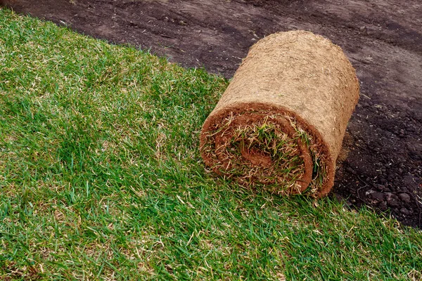 yeni bir çim için zemin ile bir çim rulo haddeleme.