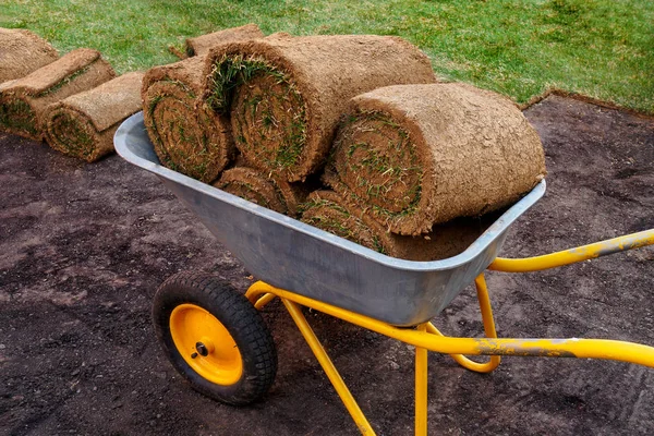 Rolls with green grass in the ground in a cart for a new lawn — Stock Photo, Image