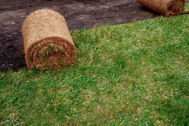 yeni bir çim için zemin ile bir çim rulo haddeleme.