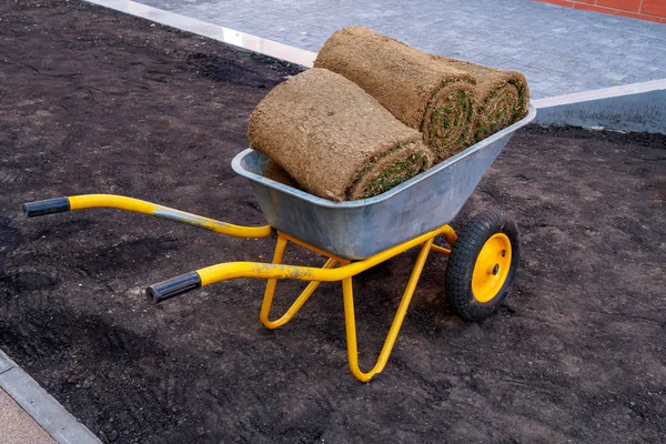 Rolls with green grass in the ground in a cart for a new lawn — Stock Photo, Image