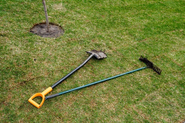 Gardener's dirty tools are lying on the fresh rolled lawn — Stock Photo, Image