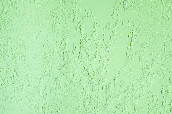 Green textured plastered wall. Fresh otvetka in commercial premises, designer renovation in the house — Stock Photo, Image