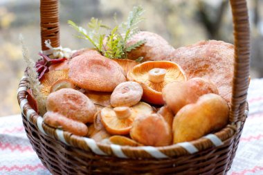 Hasır sepette taze redhead yenilebilir mantar.