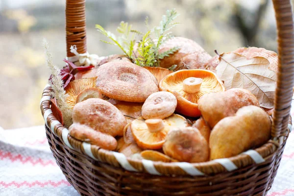 Freshly redhead edible mushrooms in a wicker basket. — Stock Photo, Image