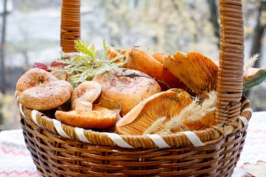 Hasır sepette taze redhead yenilebilir mantar.