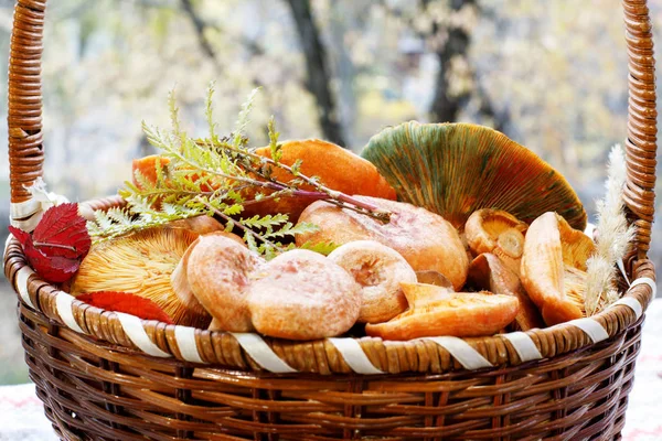 Freshly redhead edible mushrooms in a wicker basket. — Stock Photo, Image