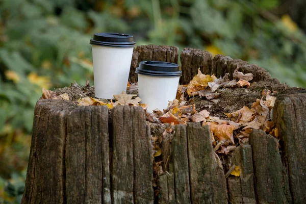 Two white paper cups are on the old stump in the autumn forest. In the foreground a dry autumn oak leaf — Stock Photo, Image