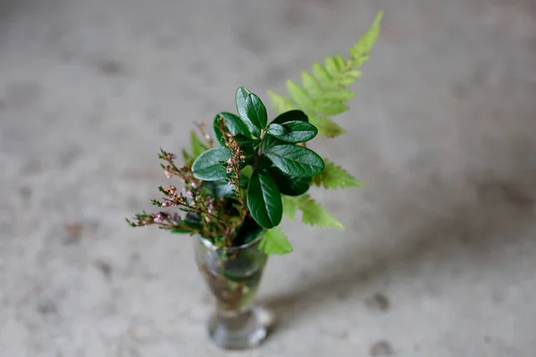 Beautiful autumn bouquet of the last green plants in a small glass vase. Lingonberry leaves, fern leaves and heather twigs. Soft focus — Stock Photo, Image