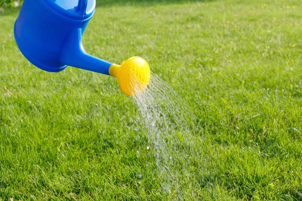 Water pours from a blue plastic watering can with a yellow diffuser onto a green lawn — Stock Photo, Image