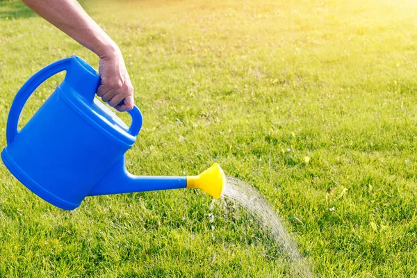 Watering a green lawn from a blue watering can on a sunny summer morning — Stock Photo, Image