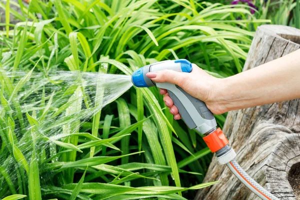 A jet of water pours from a hand sprayer — Stock Photo, Image