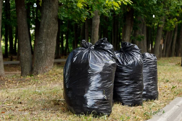 Black bags of garbage are under the trees. Garden cleaning concept — Stock Photo, Image