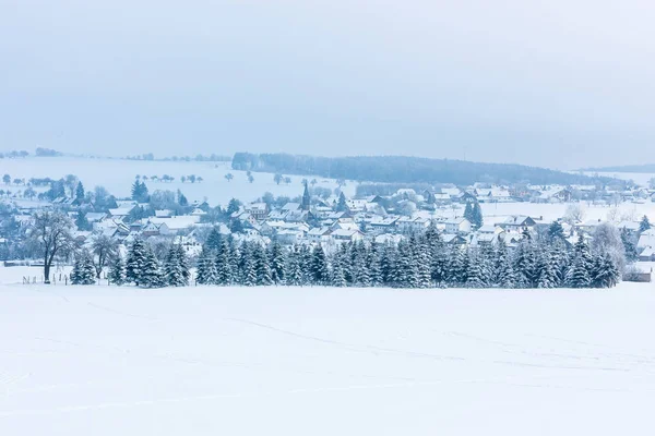 Paesaggio invernale con alberi ricoperti di gelo e un piccolo villaggio europeo si trova tra i campi innevati . — Foto Stock