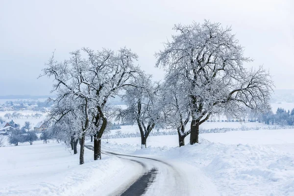 Paesaggio invernale. Strada scivolosa coperta di neve tra alberi ricoperti di ghiaccio conduce al villaggio . — Foto Stock