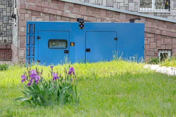 A flowerbed of irises on the background of a diesel generator for emergency power supply against the wall of the medical center in good weather. — Stock Photo, Image
