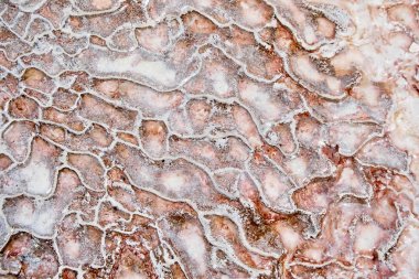 Pamukkale 'de bir teraslı hamam basamaklarını kapsayan beyaz kalsit sarkitlerinin düzensiz dokusu. UNESCO doğal miras listesinde yer alan.