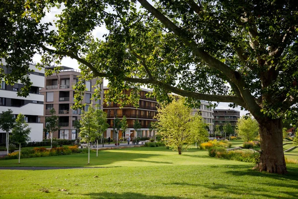 Heilbronn, Alemania - 12 de agosto de 2019.Espacio verde con un árbol y un césped en una zona moderna durante el Federal Garden Show 2019 BUGA Heilbronn —  Fotos de Stock