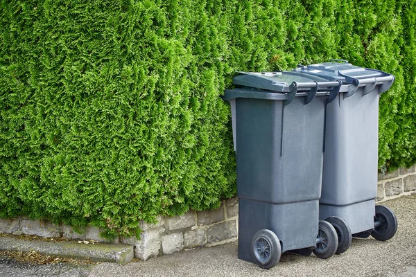Plastic trash cans are standing on the pavement against a background of green bushes of a thuja on a sunny day. The concept of cleaning and cleanliness of the city — Stock Photo, Image