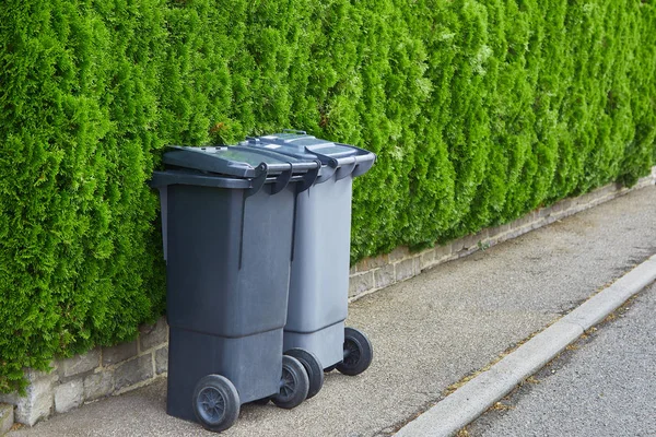 Two plastic garbage cans stand on clean asphalt on a background of green bushes of a thuja on a sunny day. The concept of recycling garbage, city cleanliness — Stock Photo, Image