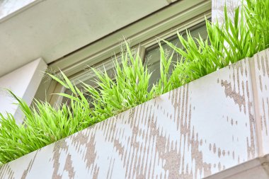 Doğal taze dekoratif çim yeni bir yüksek katlı binanın balkonunda tencere yetişir. Modern şehircilik. Yeşil yaşam alanı konsepti. Aşağıdan görüntüle.