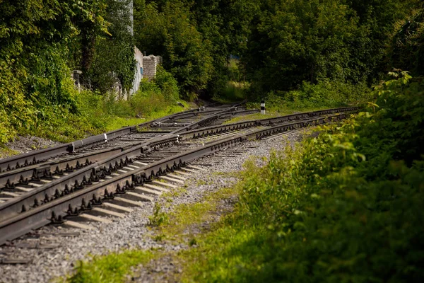 Fork in the railway tracks. Rusty railway rails and rotten wooden sleepers are overgrown with green wild grapes. The concept of choosing a life path.