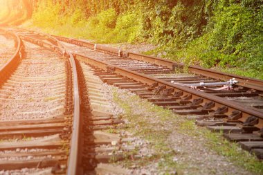 İki tren yolu bir araya gelir ve perspektife girer. Hayat yollarının birleşmesi, ortak bir gelecek.