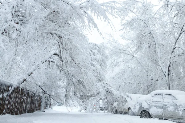 Snow blockages. The trees broke under the weight of wet snow and blocked the road between houses and crushed cars. Image of bad weather, cold climate — Stock Image Snow blockages. The trees broke under the weight of wet snow and blocked the road between houses and crushed cars. Image of bad weather, cold climate Stock Photo