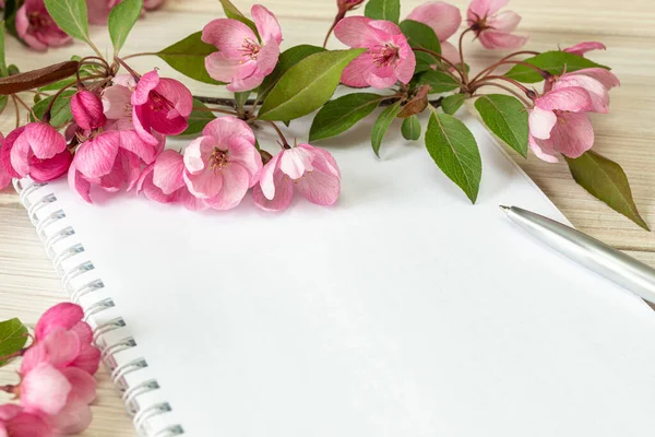 A branch of a blossoming apple tree and a blank notebook on a wooden table. Copy space — Stock Photo, Image