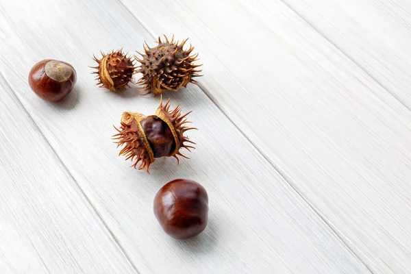 Kastanjes Een Witte Houten Tafel Voor Herfstontwerp Kopieerruimte — Stockfoto