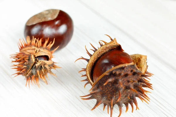 Kastanjes Een Witte Houten Tafel Voor Herfstontwerp Kopieerruimte — Stockfoto