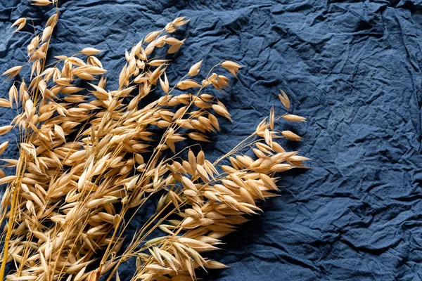 Golden oats on blue-gray cotton fabric for a design on the theme of harvest, farming.