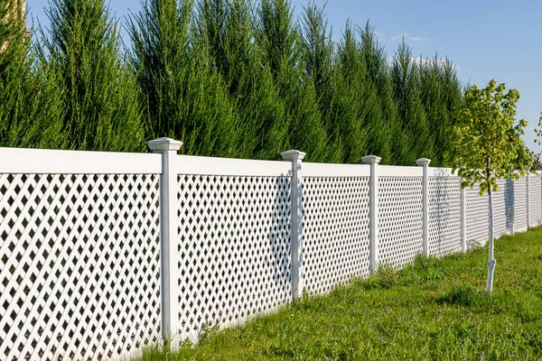 Weißer Vinylzaun Einem Hüttendorf Hohe Thuja Büsche Hinter Dem Zaun — Stockfoto