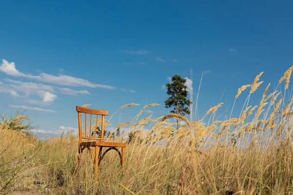 Klasyczne Drewniane Krzesło Zewnątrz Polu Pojęcie Samotności Pustki — Zdjęcie stockowe