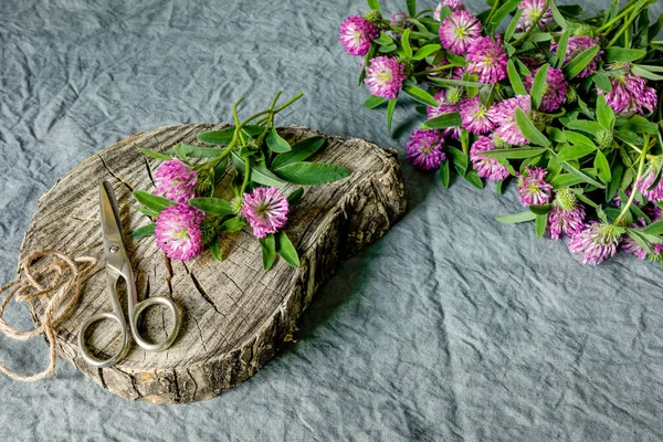 Flores Trébol Rosa Tijeras Viejo Tocón Madera Para Imagen Hierbas — Foto de Stock