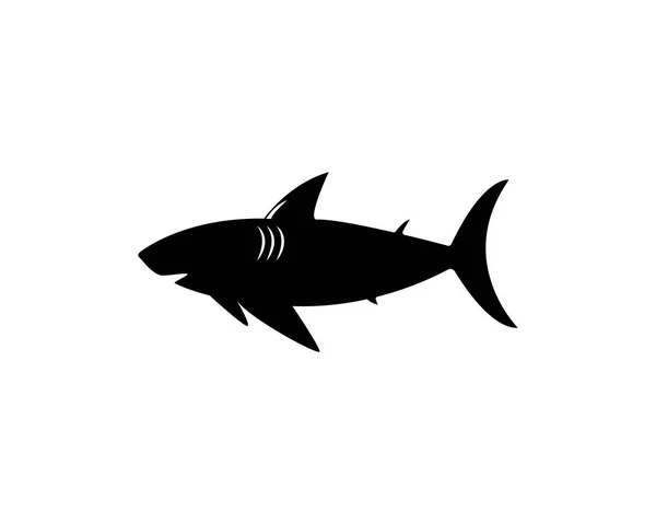 Modèle de logo de requin — Image vectorielle