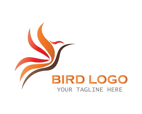 Modelo de logotipo pássaro —  Vetores de Stock
