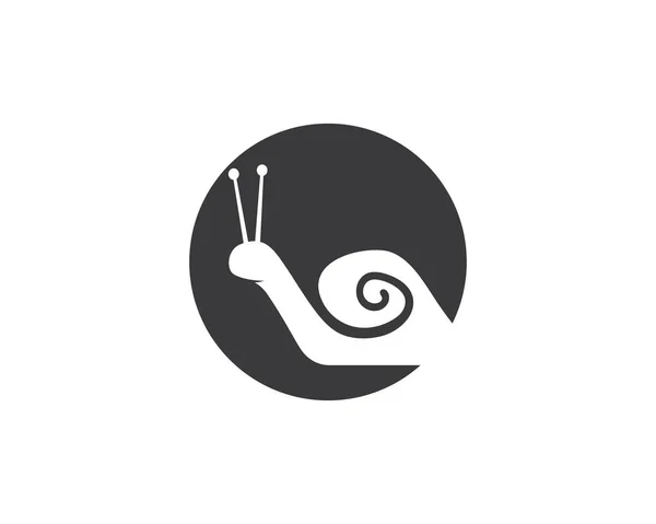 Salyangoz logo şablonu — Stok Vektör