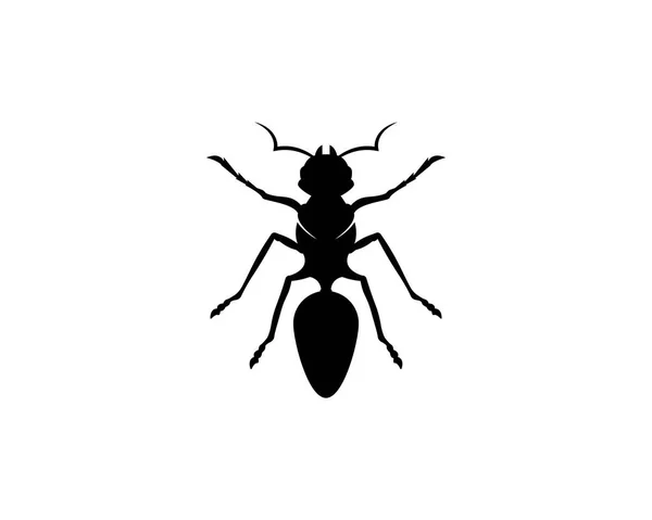 Ant Logo template — Stock Vector