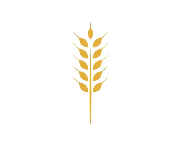 Agricultura trigo Logo Plantilla — Archivo Imágenes Vectoriales