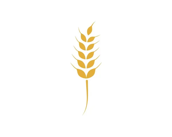 Modèle de logo du blé agricole — Image vectorielle