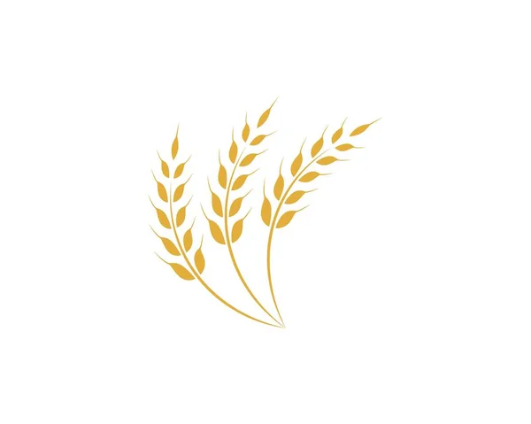 Modèle de logo du blé agricole — Image vectorielle