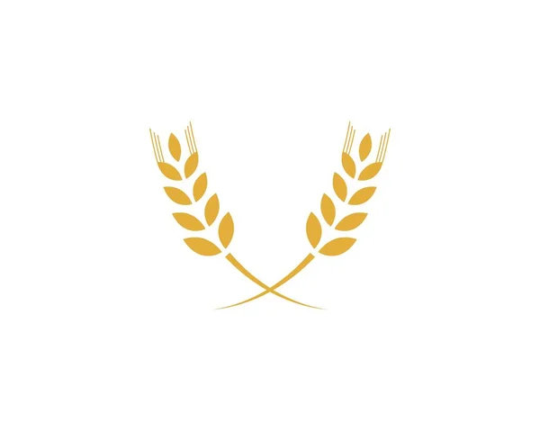 Логотип сельскохозяйственной пшеницы — стоковый вектор
