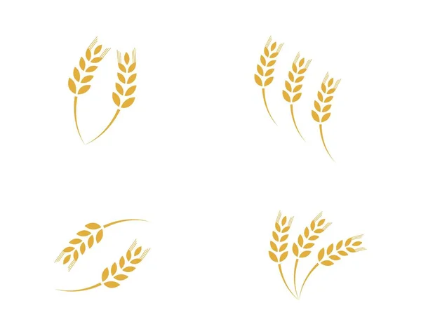 Modèle de logo du blé agricole — Image vectorielle