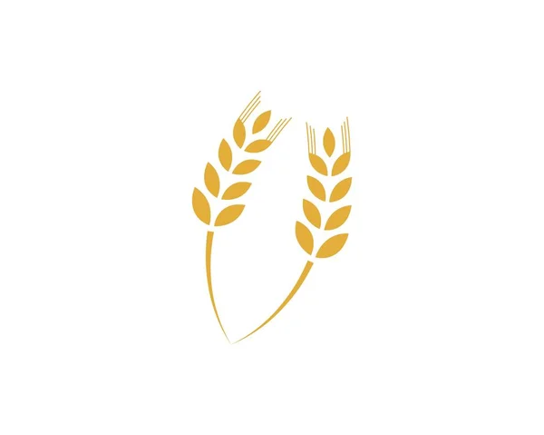 Modèle de logo du blé agricole — Image vectorielle